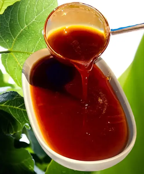ঝোলা গুড়
